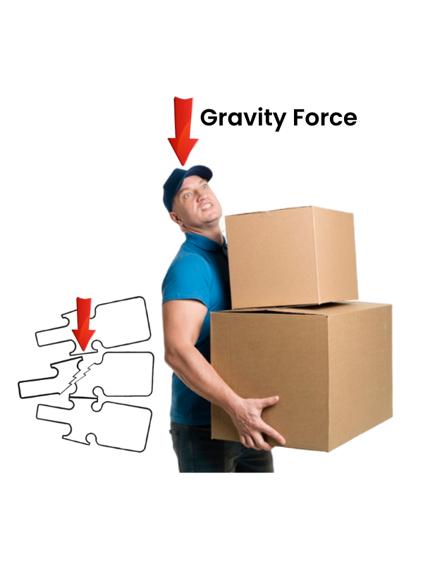 Copy of Type de Dos_ Dos Plat (2)