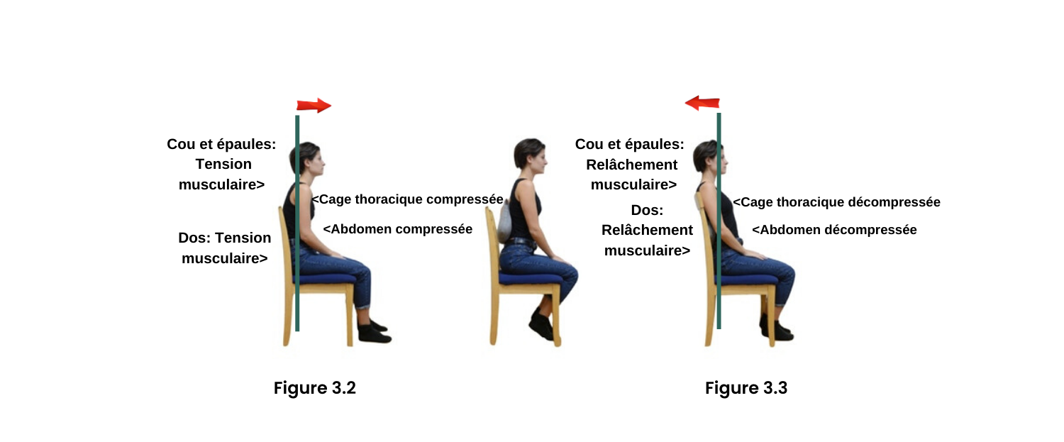 les effets négatifs des dossier plat sur le bas de dos