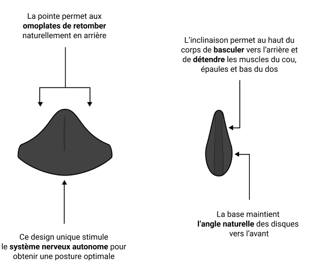 coussin lombaire, mal de dos, entorse lmbaire, hernie discale, sciatique, arthrose