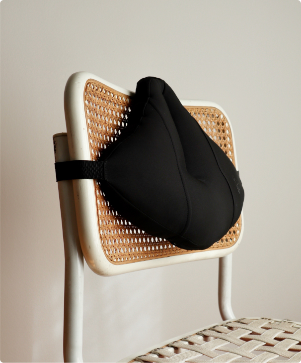 Back pillow, amazon, back cushion, amazon, lumbar pillow, amazon, similar others sold at Canadian tire, Walmart, amazon